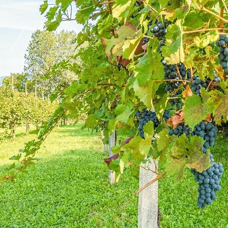 Casa Dei Nonni Appartement