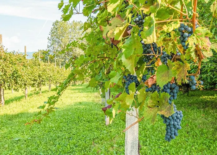 Casa Dei Nonni Apartment